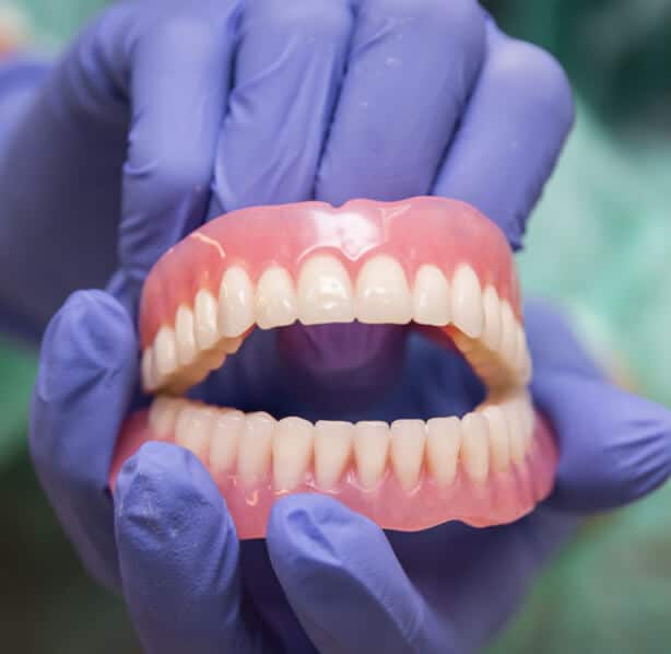 Dentist in purple gloves holding full dentures model showing teeth alignment and dental prosthetics.
