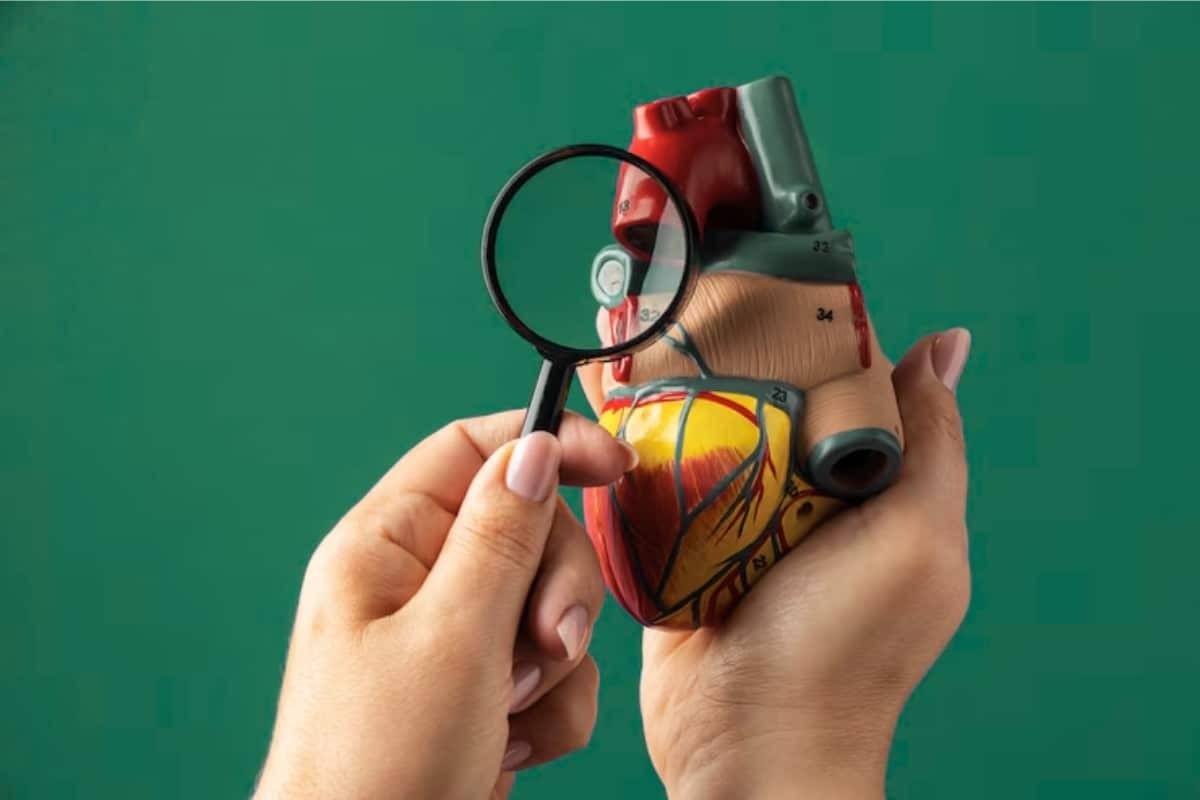 Featured image for “Spotting Cardiovascular Risks: Your Dentist’s Role Explained”